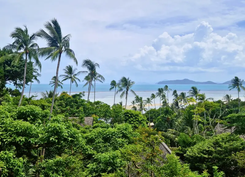 best-beach-koh-samui-tropical-island-standard-mhk1mk.webp