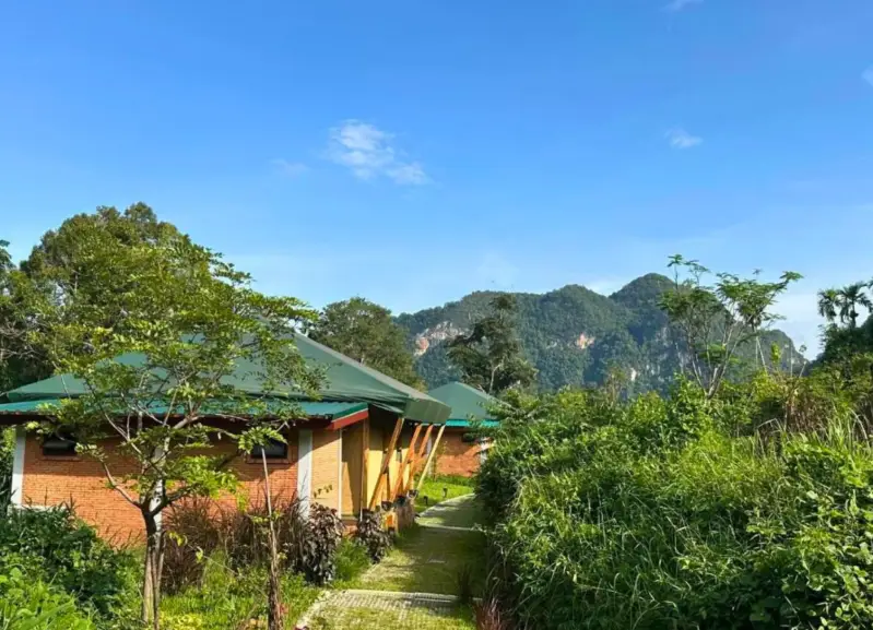 glamping-resort-nature-jungle-retreat-standard.webp
