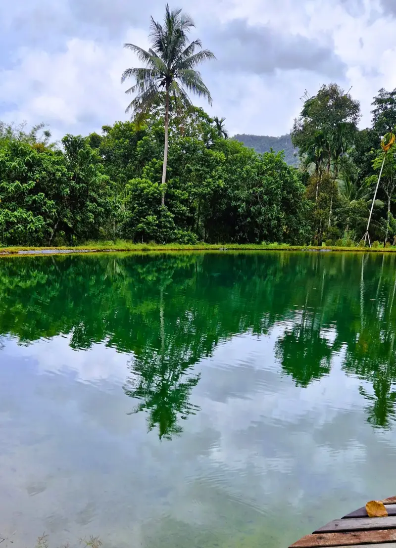 khao-sok-natuur-thailand-nationaal-park-standard-hqk93r.webp