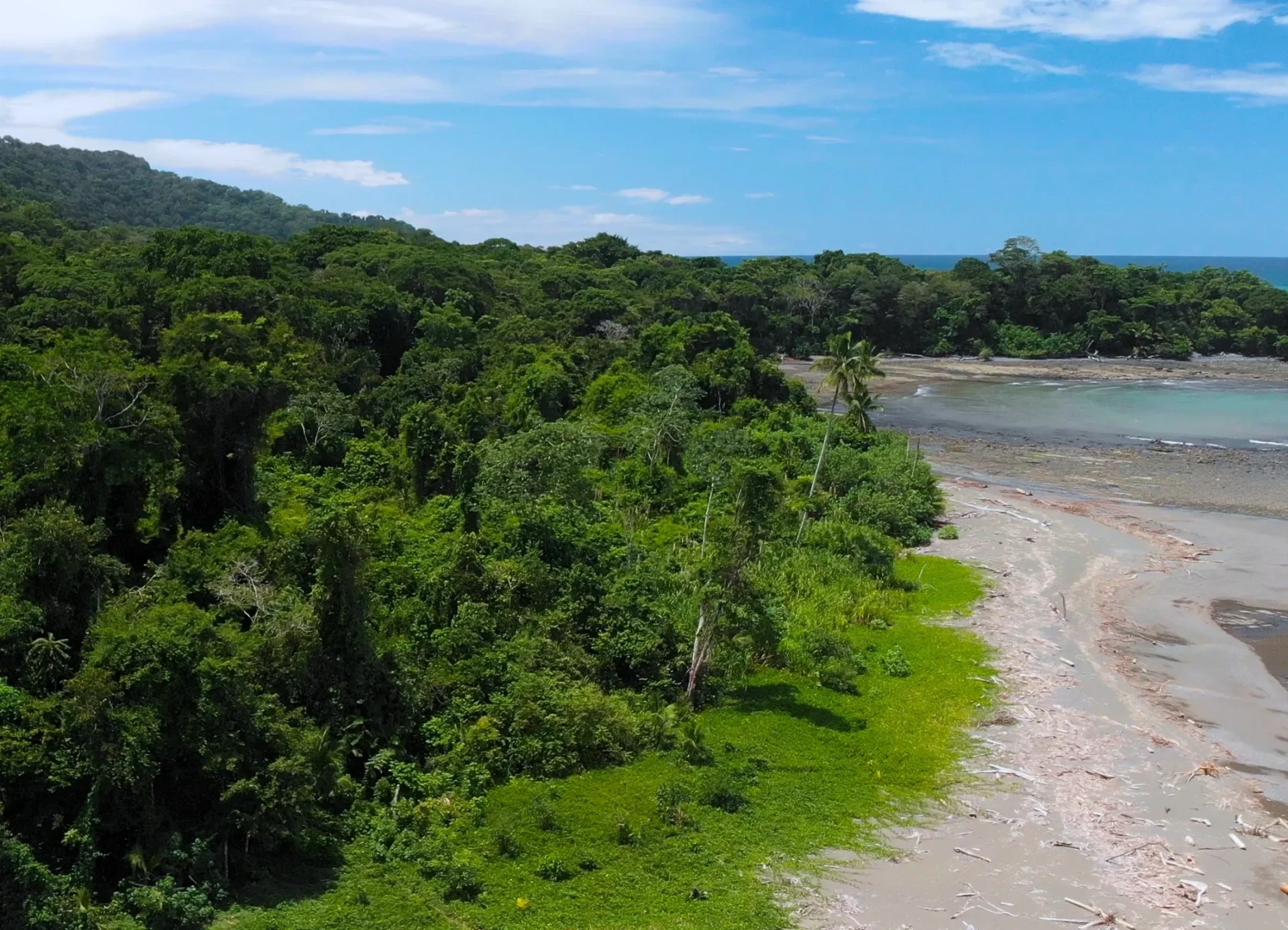 Het regenwoud en een baai in Corcovado National Park