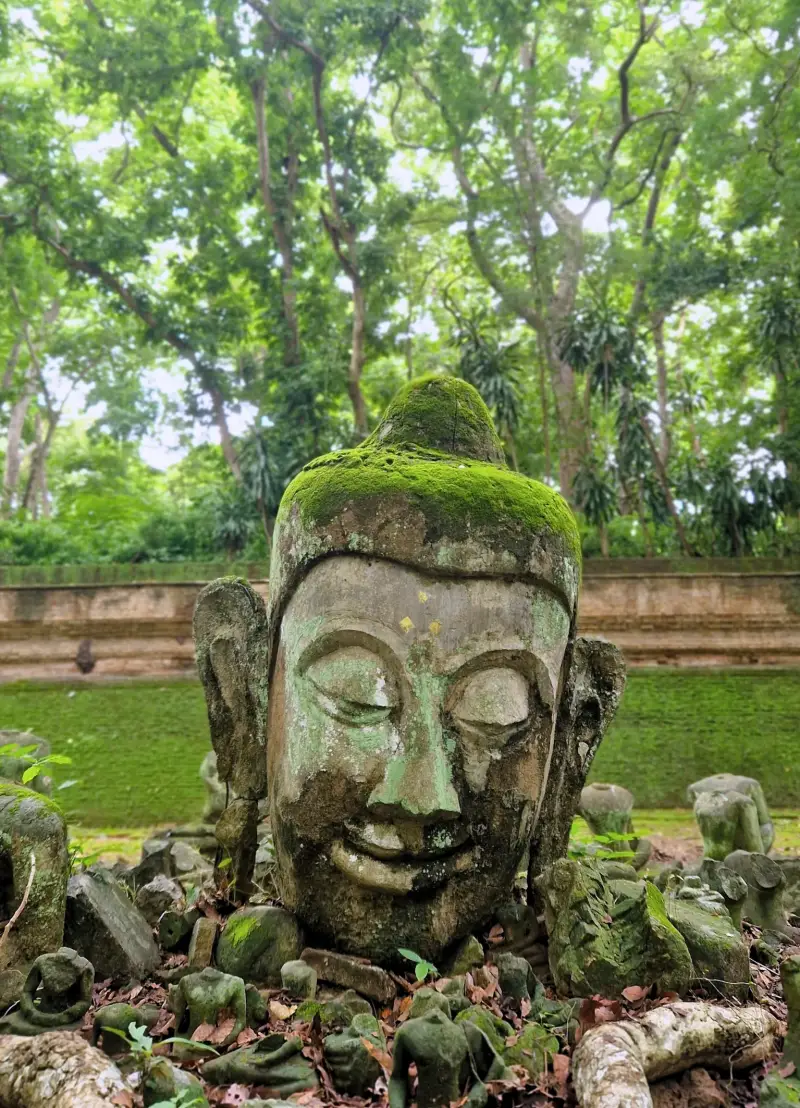 oude-tempels-bezoeken-thailand-standard-m86c5e.webp