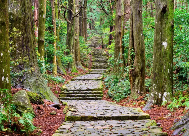 pelgrimsroute-japan-kumano-kodo-heilige-wegen-standard-2jusd6.webp
