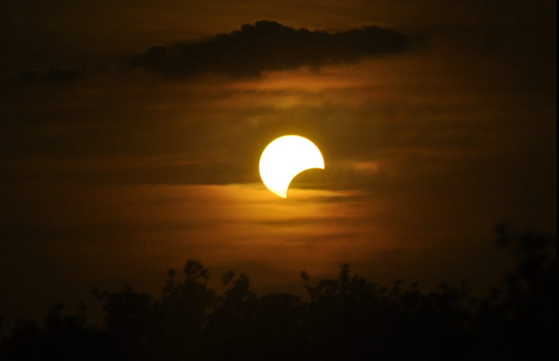 zon-canva-3-standard.png