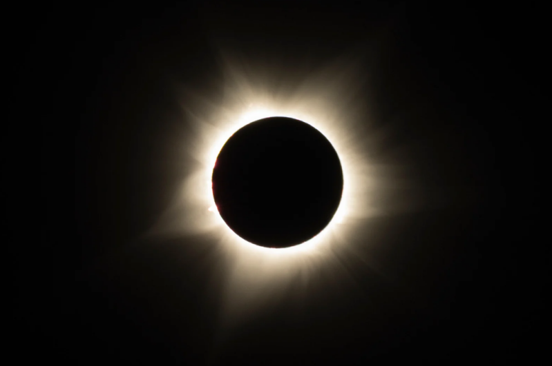 zon-canva-4-standard.png
