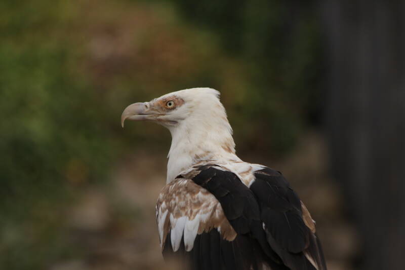 img_6279-standard-4bnyps.jpg