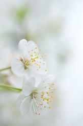 090424_3227-standard.jpg