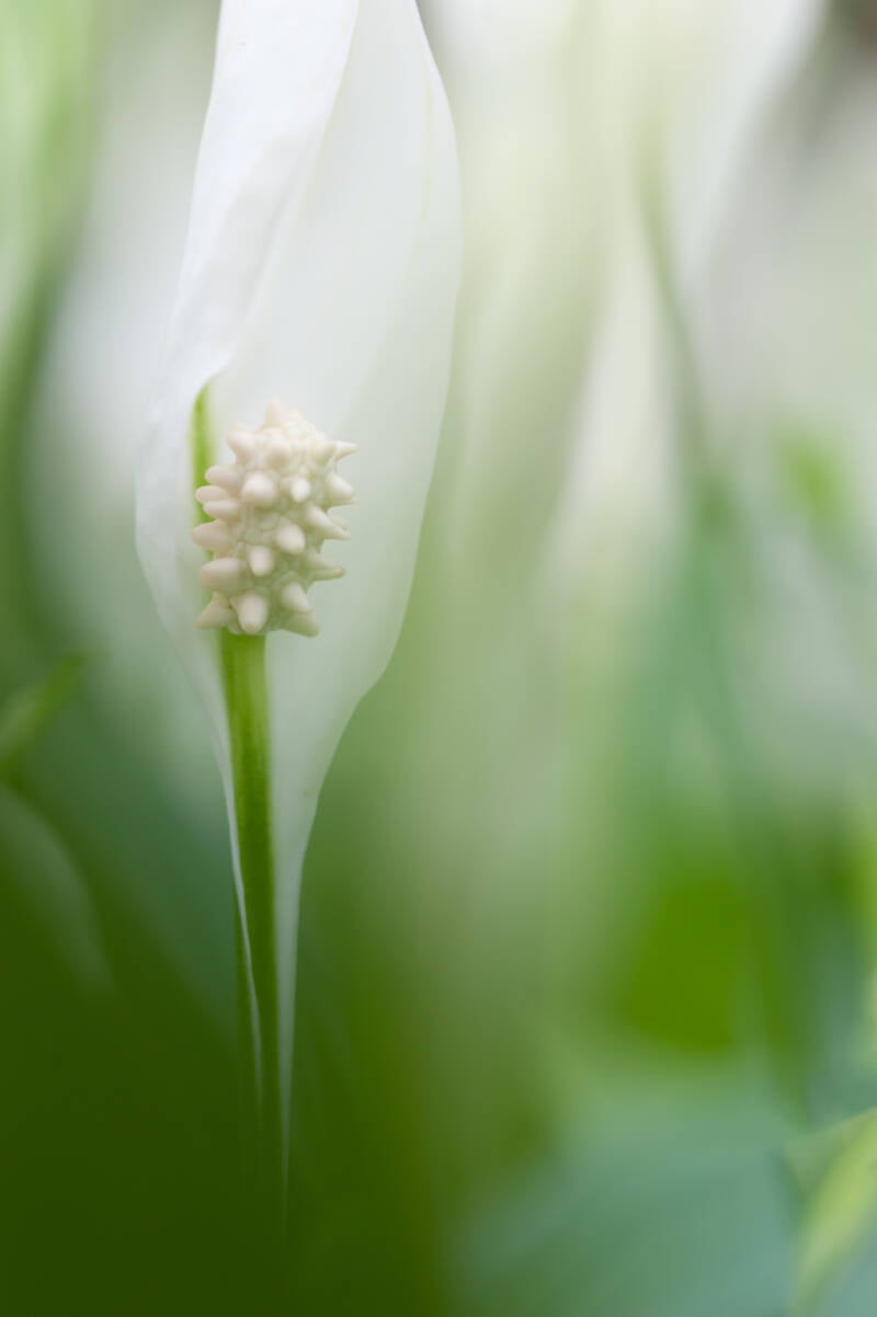100424_3298-standard.jpg