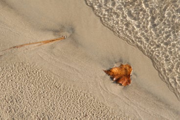 20211031_0914-standard.jpg