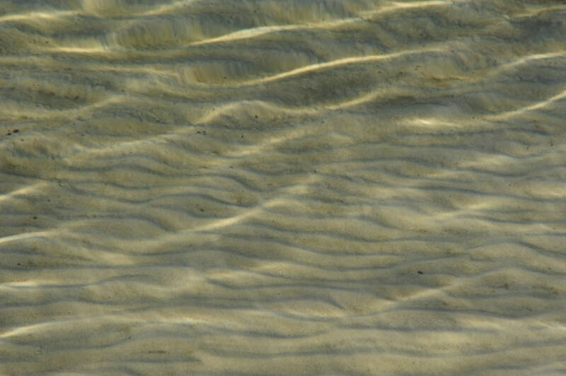 _dsc9267-2.jpg