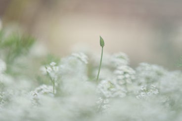 _dsc8837.jpg