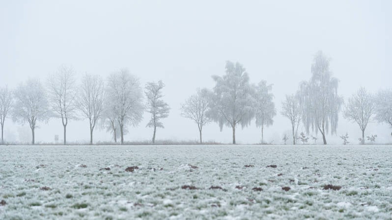 winterwonderland044.jpg