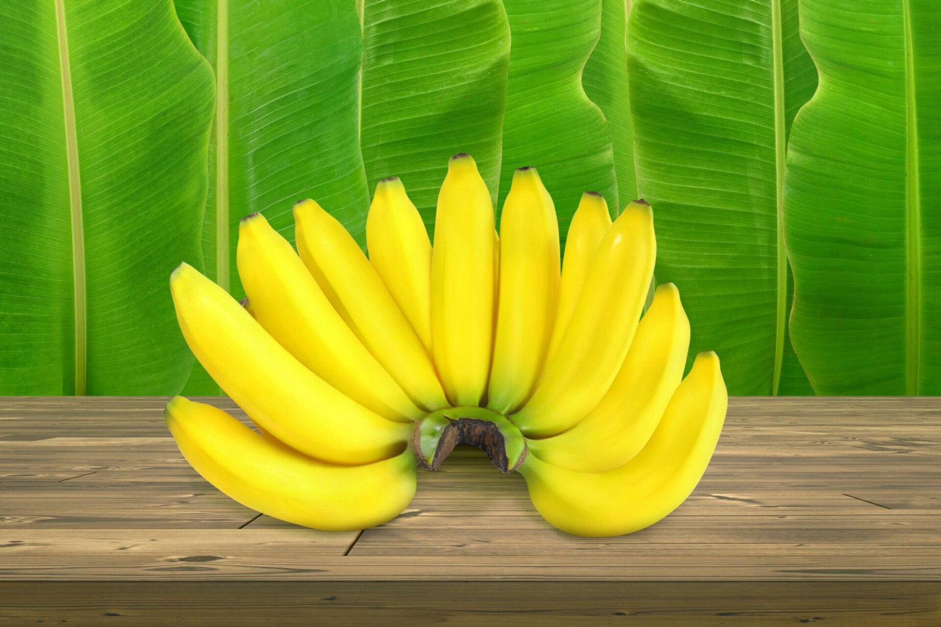 Fresh Bananas
