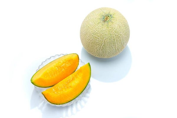 Fresh Muskmelon