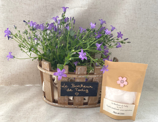 Poudre parfumée pour aspirateur