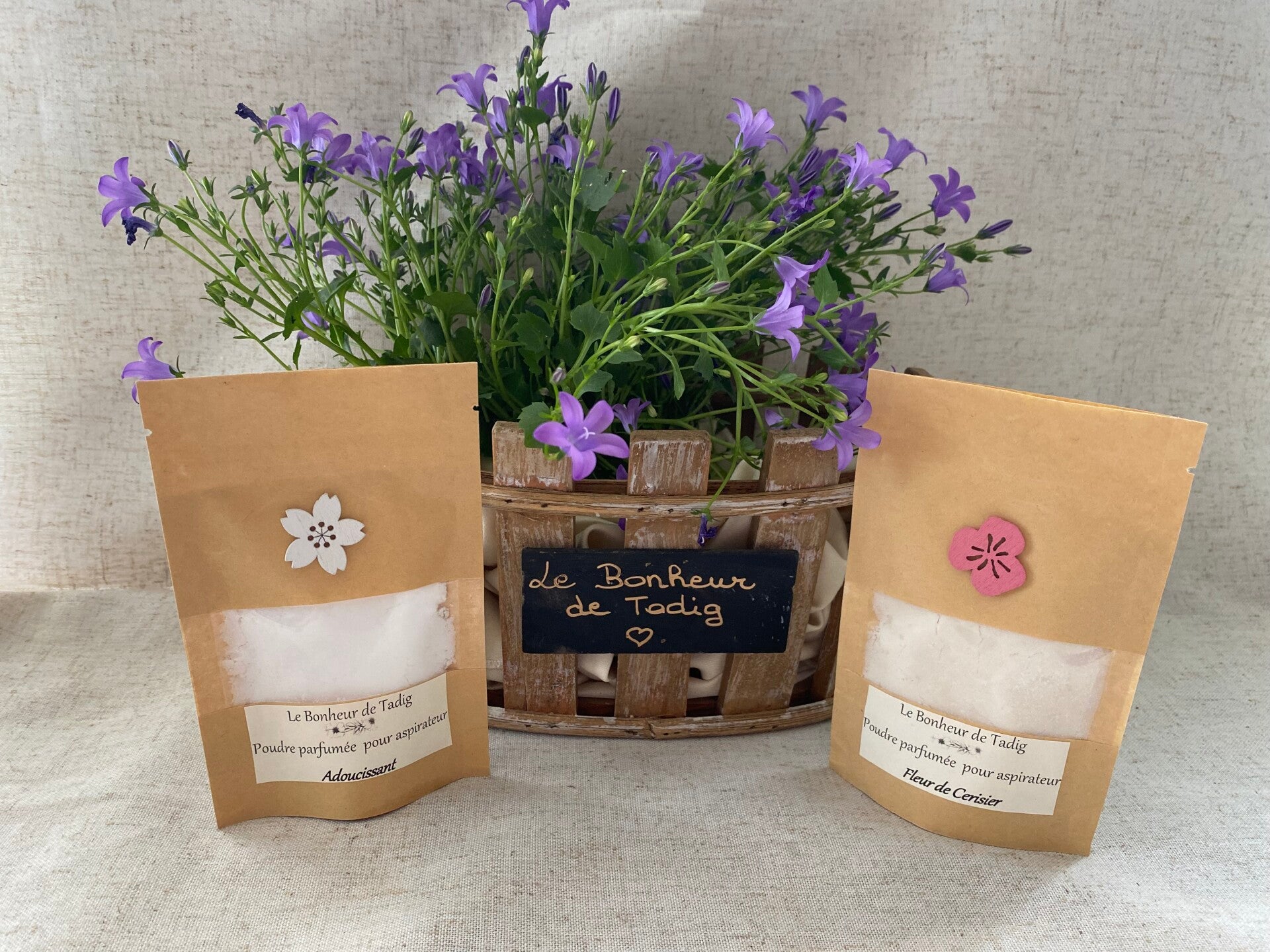 Poudre pour aspirateur