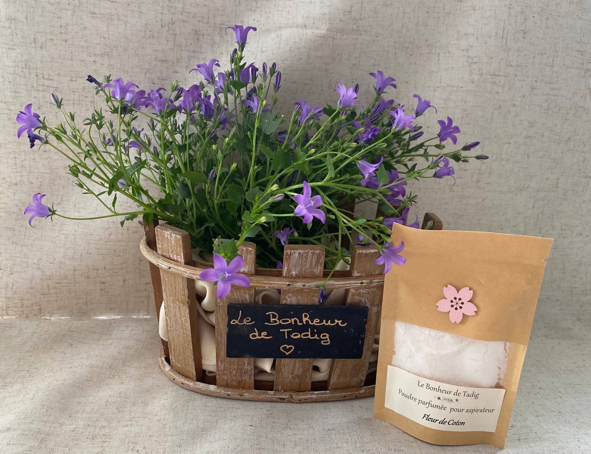 Poudre pour aspirateur