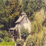 079eskaderreis84bustripWaltDisneyWorld.jpg