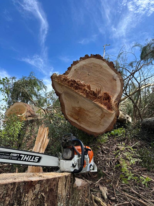 Landclearing