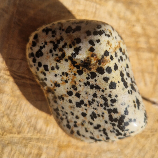 Jaspe dalmatien roulée
