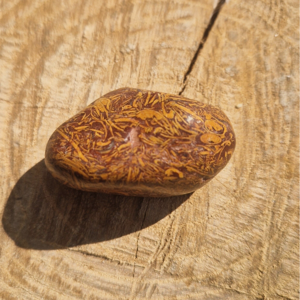 Jaspe peau de serpent roulée