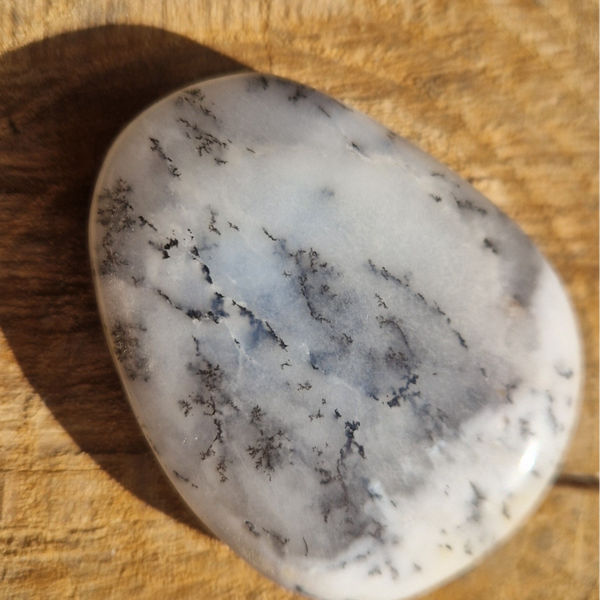 Galet agate dendritique roulée
