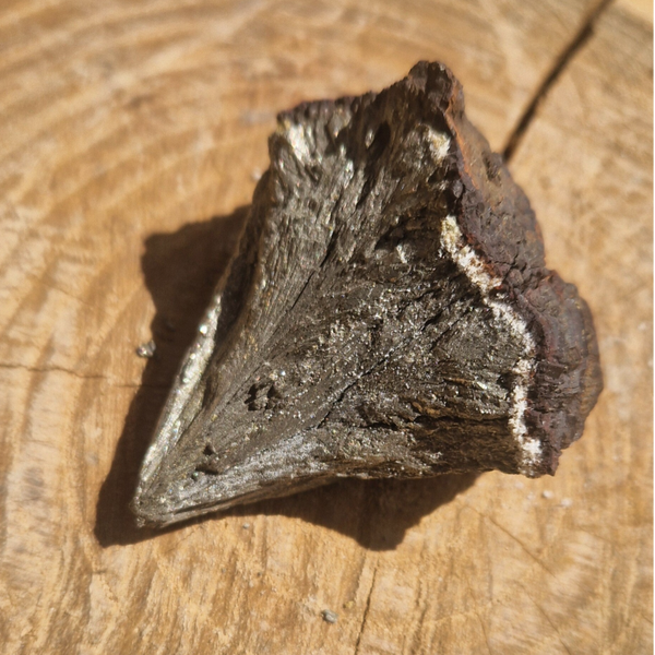 Marcassite ou pierre de tonnerre