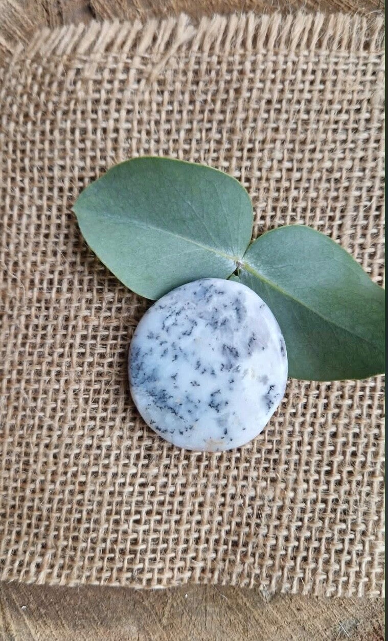 Galet agate dendritique roulée