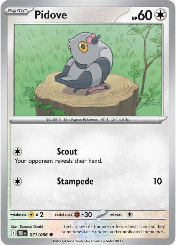 Pidove 071/086 PKMN