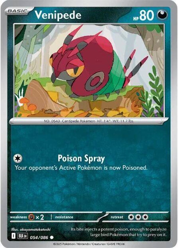 Venipede 054/086 PKMN