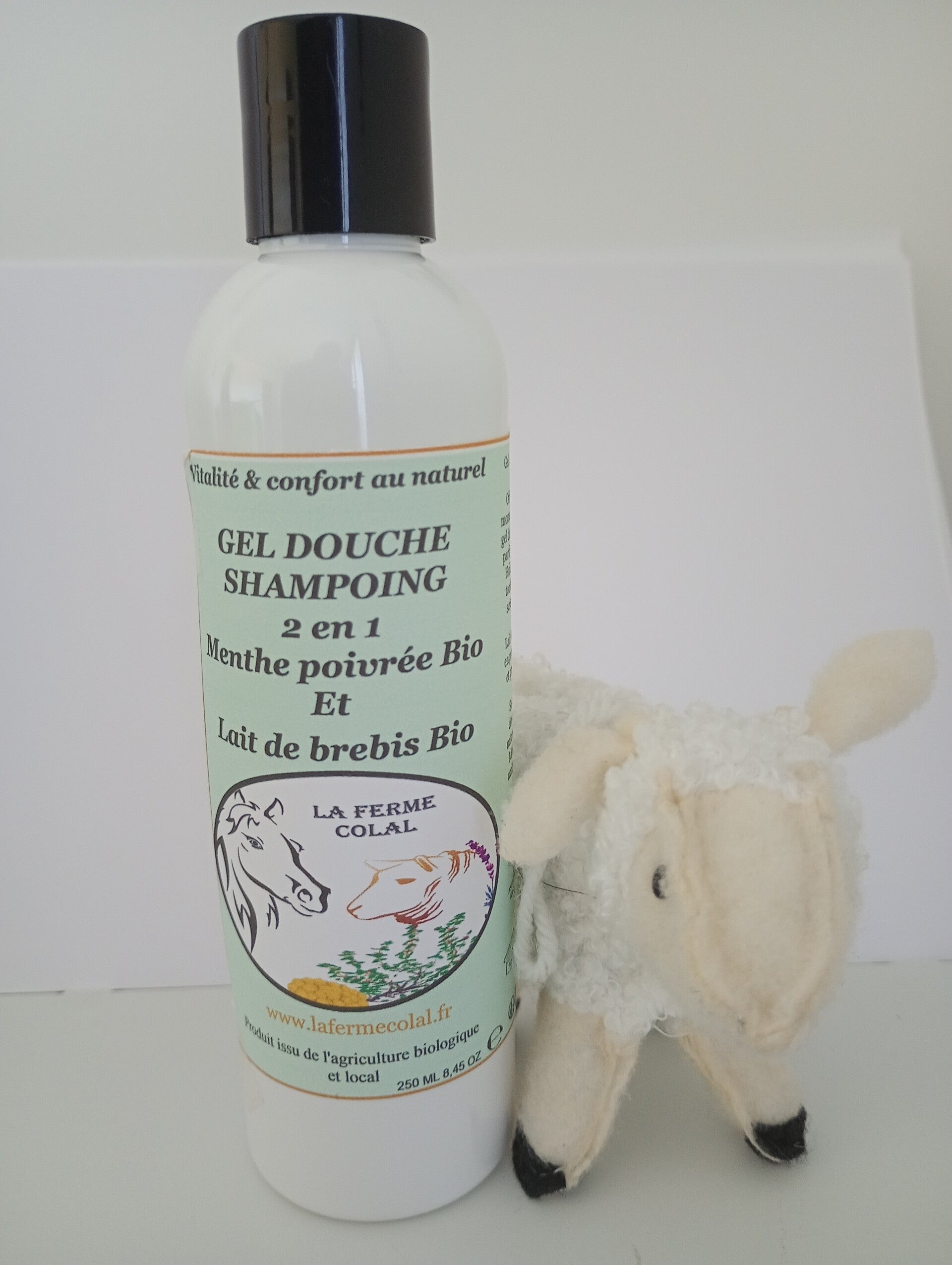 GEL DOUCHE/ SHAMPOING 2 EN 1 MENTHE POIVREE