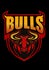 Northern Bulls Soccer Club