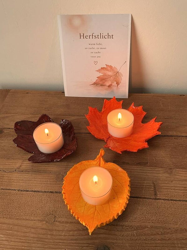 Herfstlichtjes (brievenbuskado)