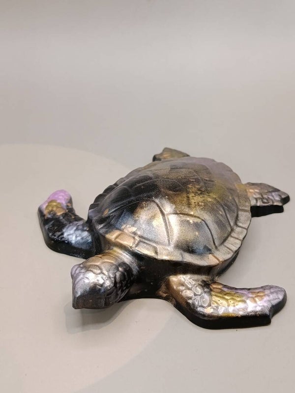 Petite tortue de mer