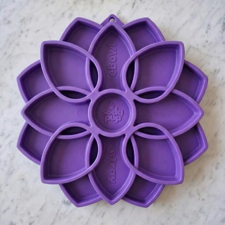 Sodapup Mandala