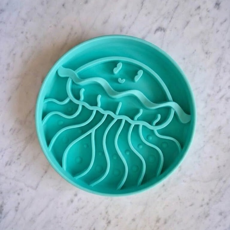 Jellyfish