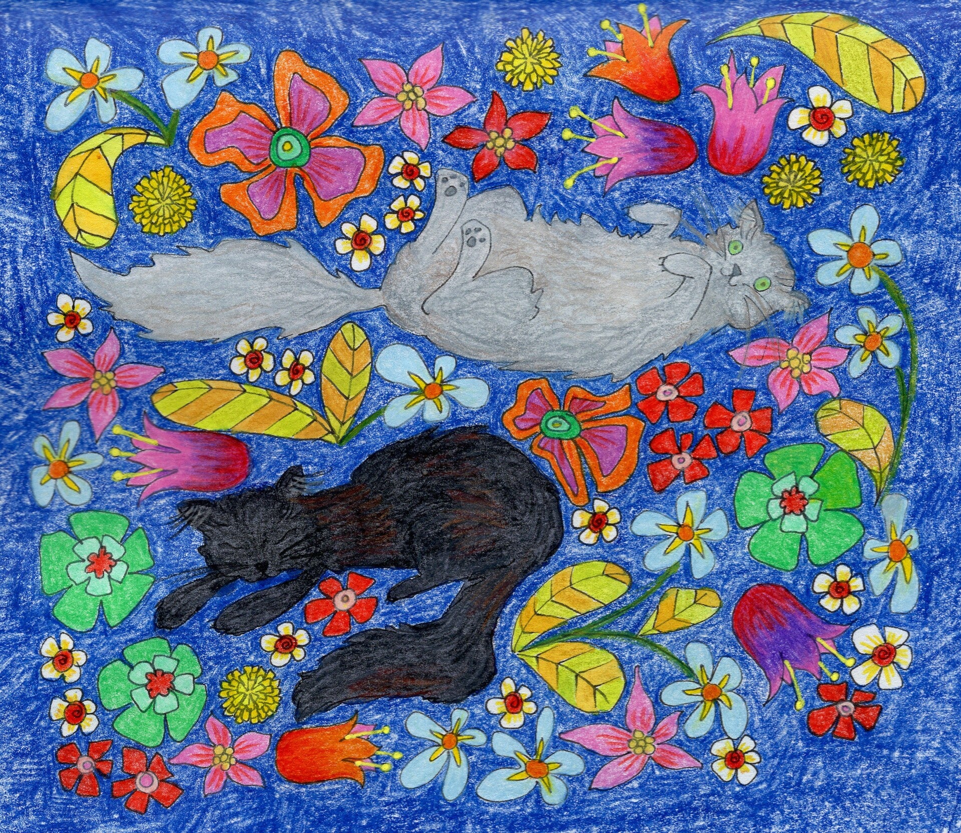 katzen-in-blau-1-standard.jpg