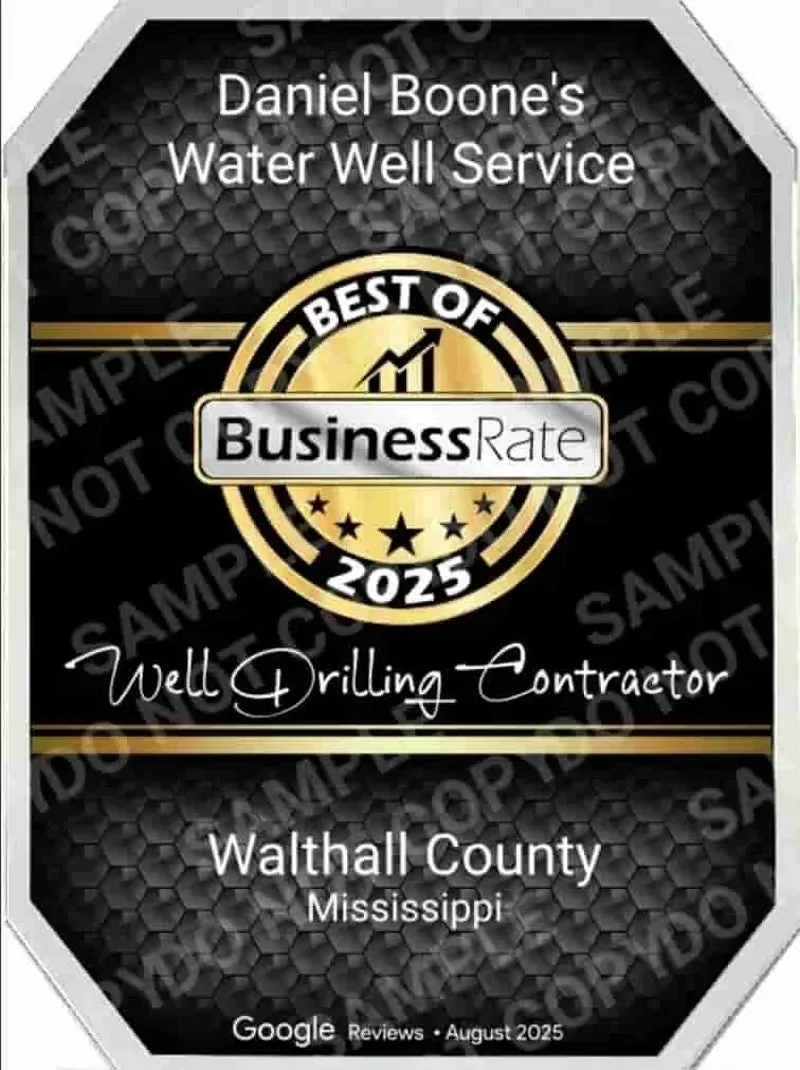 A Google award where Google rated Daniel Boone's Water Well Service as one of the Best Businesses in Walthall, County, MS in 2025.
