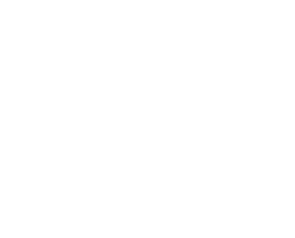 OPLEIDING : Expert Training Classic Lashes  (one by one)