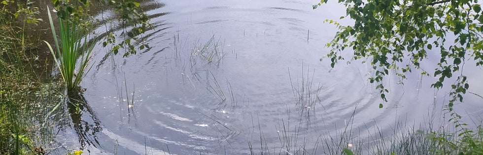 Een ripple effect in het water