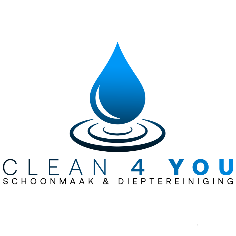 clean4youlogo.png