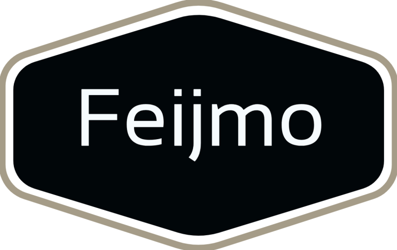 feijmo-logo-2026-standard.png