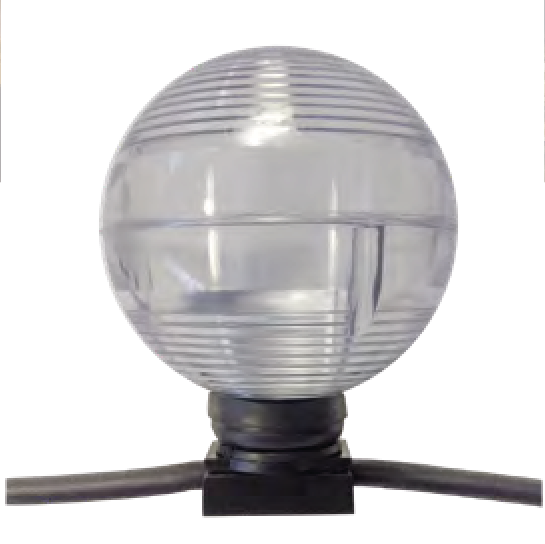 Maxiled Festoon Globle