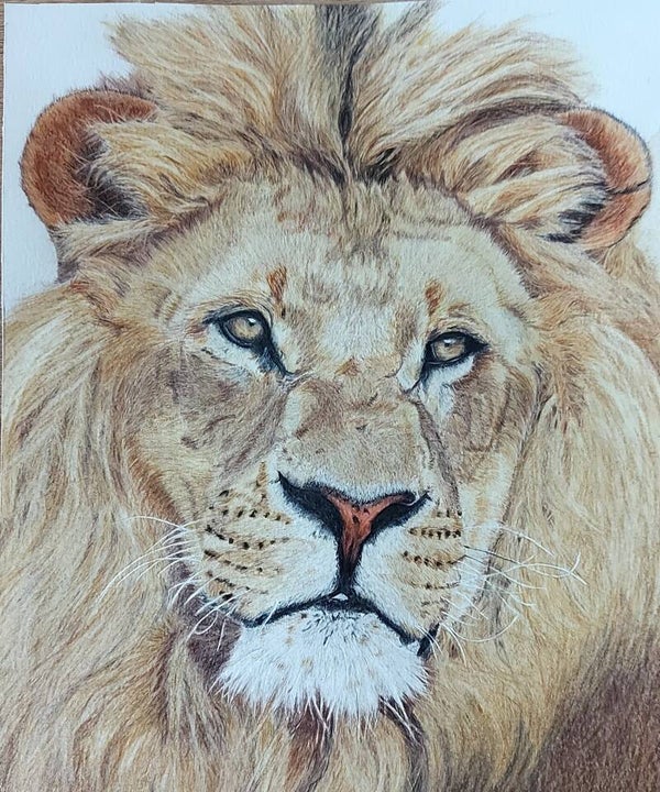 kleur tekening / color drawing
