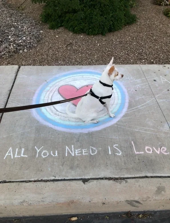 Testimonials | Anchor Energy Therapy