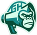 GORILLAPHUSZ LIMITED