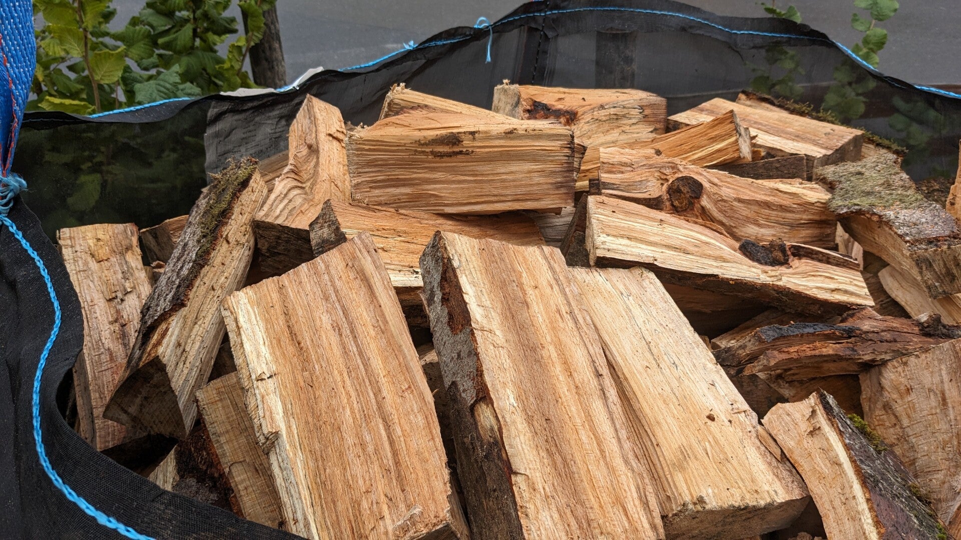 Gespaltenes Laubholz Buche/ Eiche