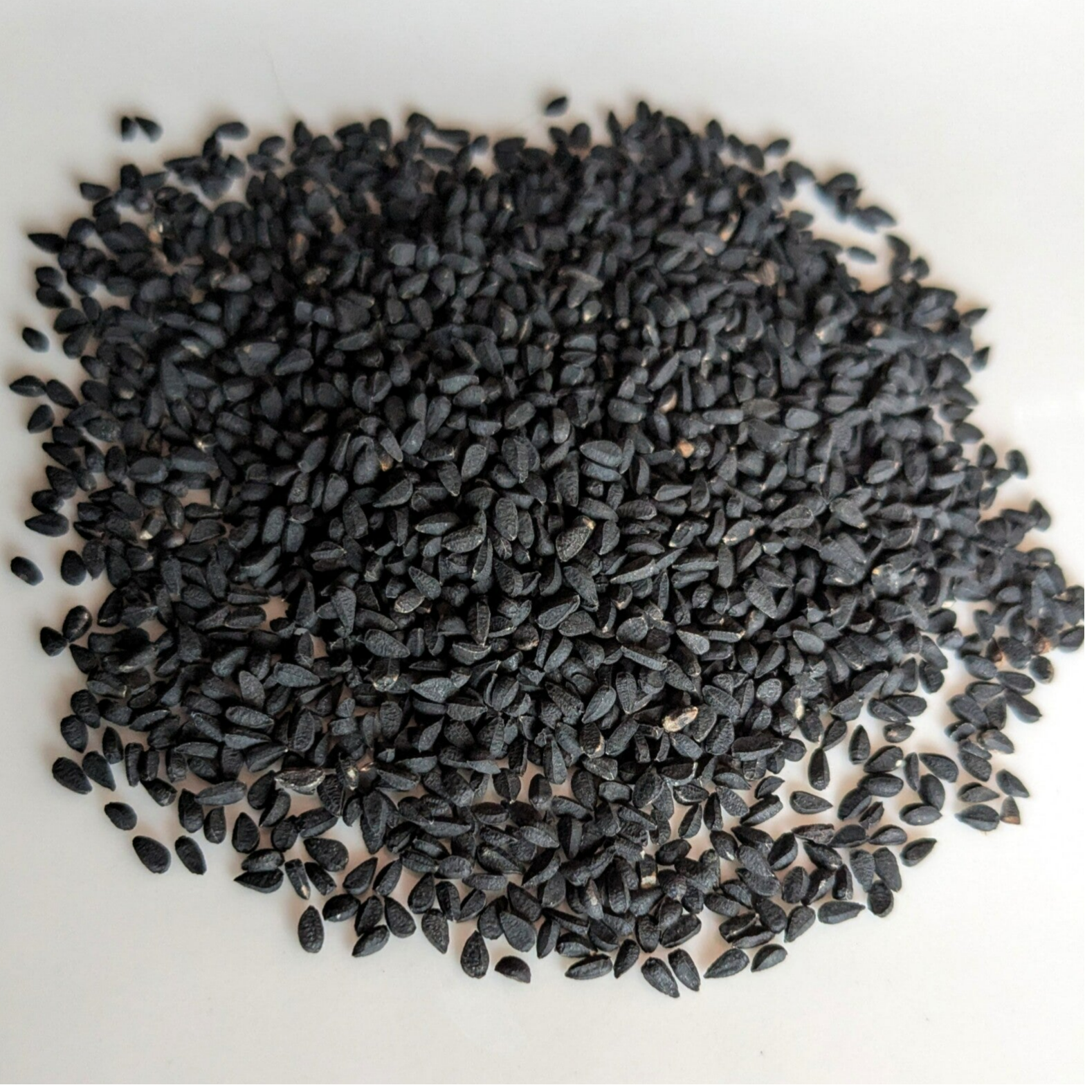 Schwarzkümmel Samen