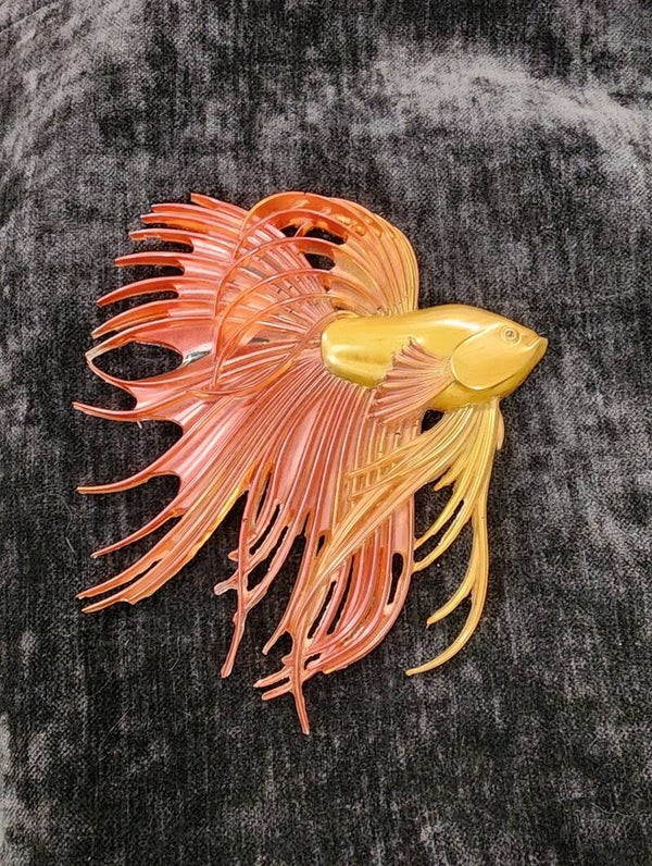 Beta Fish