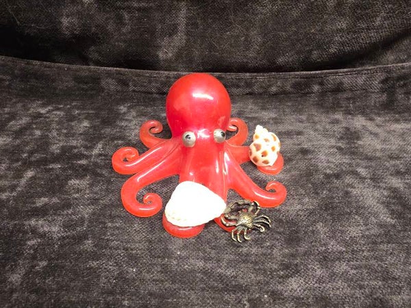 Small Beach Octopus