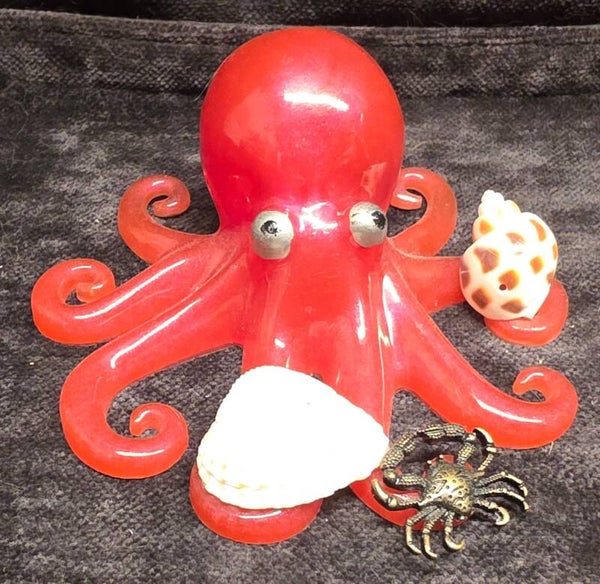 Octopus